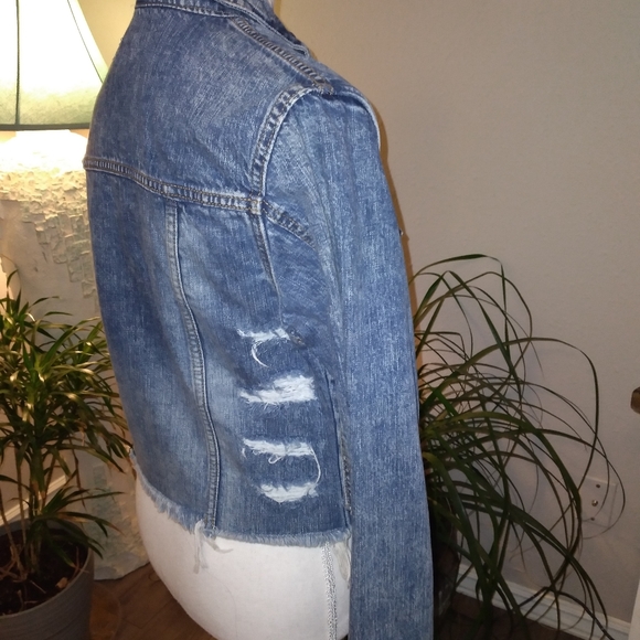 Cello Distressed Jean Jacket - Picture 7 of 8